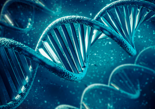 The Benefits of Genetic Testing & Personalised Genetic Supplements