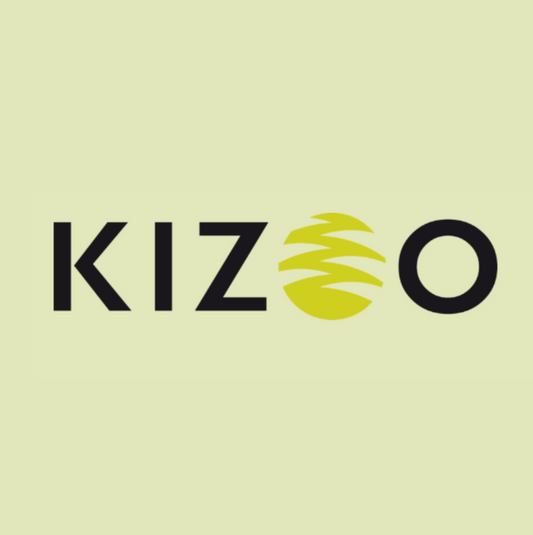 Kizoo Technology Capital